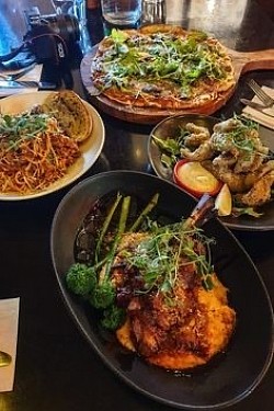 Variety of plated meals